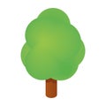Isometric tree icon Royalty Free Stock Photo