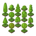 Isometric tree vector illustration.