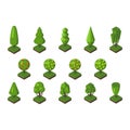 Isometric tree vector illustration.