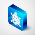 Isometric Turtle icon isolated on grey background. Blue square button. Vector.