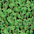 Isometric vector flowering trees pattern for forest, park, city. Seamless background. Landscape constructor kit icons for game, Royalty Free Stock Photo