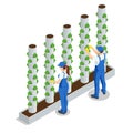 Isometric vegetable hydroponic system, modern greenhouse smart plant beds, gardeners, hydroponic and aeroponic systems