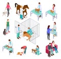 Isometric veterinary. Animals shelter people pet dog cat veterinarian volunteer veterinarians medicine clinic vector