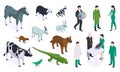 Isometric Veterinary Color Icon Set