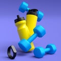 Isometric view of sport equipment like dumbbell, water bottle and yoga mat