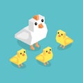 Isometric White Chicken with Yellow Chick Royalty Free Stock Photo