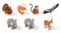 Isometric Wild Animal Collection Featuring Turkey, Shrimp, Monkey and More Royalty Free Stock Photo