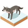 Isometric wolf icon with a square ground