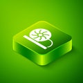Isometric Xiao long bao or steamed dumplings icon isolated on green background. Chinese food. Green square button