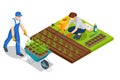 Isometric young vegetable seedlings of transplanting into peat pots using garden tools. Woman transplant seedlings