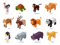 Isometric zoo animals. Low poly panda, penguin toy and tiger. Herbivores and predatory wild animal 3D cartoon vector set