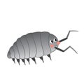 Isopod animal cartoon character vector illustration