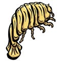 Isopod Woodlouse Illustration Logo Sea Creature