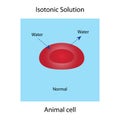 Isotonic solution