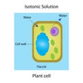 Isotonic solution