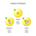 Isotopes of Hydrogen 3D vector illustration