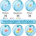 Isotopes of hydrogen. Royalty Free Stock Photo