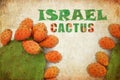 Israel Cactus. Opuntia cactus with large flat pads and red thorny edible fruits. Prickly pears fruit. Sabra cacti Royalty Free Stock Photo