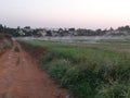 Openspace irrigation system plants