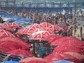 Israel crowd beach Royalty Free Stock Photo