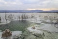 Israel. Dead sea. Dawn. Crystals of salt Royalty Free Stock Photo