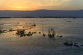 Israel. Dead sea. Dawn. Royalty Free Stock Photo