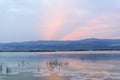 Israel. Dead sea. Dawn. Sunrise. Royalty Free Stock Photo