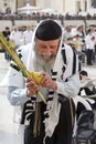 Israel, Jerusalem October 08, 2017: Celebrating sukkot at the Western Wall. Jewish hasidic pray a the Western Wall