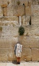 Israel. Jerusalem. Western wall. Prayer at the Western Wall. Israel is a place of attraction for pilgrims from all over the world. Royalty Free Stock Photo