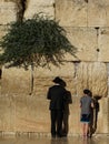 Israel Jerusalem Western Wall praying Royalty Free Stock Photo