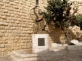 Israel. Monument to the tsar David in Jerusalem