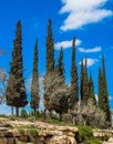 Israel. Steep rock