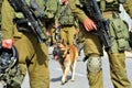 Israeli army attack dog