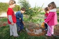 Israeli Children Celebrating Tu Bishvat Jewish Holiday Food Royalty Free Stock Photo