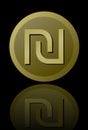 Israeli currency shekel symbol , elegant minimalist circle gold metallic coin with mirror reflection isolated on black Royalty Free Stock Photo