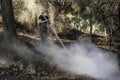 Israeli Firemen Putting an End to a Forest Fire near Jerusalem, Israel