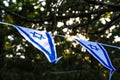 Israeli flags on the background of the trees