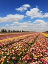 Israeli kibbutz close to the border