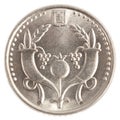 2 Israeli New Sheqel coin Royalty Free Stock Photo
