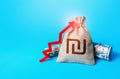 Israeli shekel money bag and red up arrow. Economic growth, GDP. Increase income and business efficiency. Inflation acceleration. Royalty Free Stock Photo