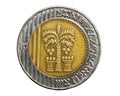 Israeli 10 Shekels coins isolated on white background Royalty Free Stock Photo