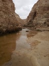 Israelian Desert Landscape Royalty Free Stock Photo