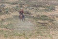 ISSYK KUL, KYRGYZSTAN - JULY 15, 2018: Local hunter performs eagle hunting at the Ethnofestival Teskey Jeek at the coast