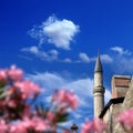 Istanbul Aya Sofia Royalty Free Stock Photo
