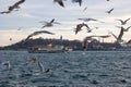 Istanbul background photo. Ferry and seagulls Royalty Free Stock Photo