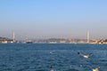 ÃÂ°stanbul bosphorus bridge and seagulls.