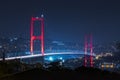 Istanbul Bosphorus Bridge at night