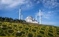 Istanbul camlica mosque