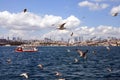 Istanbul the capital of Turkey, eastern tourist city.