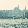 Istanbul the capital of Turkey. Royalty Free Stock Photo